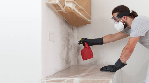 Professional Mold Testing technician working in Roxbury, MA